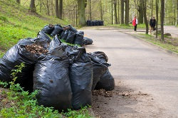 Garden Clearance Service in Watford