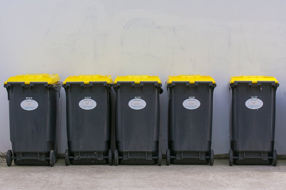 A person wearing a white t-shirt and transparent gloves is positioned behind a white plastic bin labeled 'PLASTIC', which contains a black trash bag and a clear plastic egg carton with six circular depressions. The bin is set on a flat surface in front of a light green background, suggesting an indoor environment focused on waste segregation or recycling. The egg carton is partially visible, leaning against the inner rim of the bin, with the black trash bag loosely draped over it, indicating an organized approach to rubbish disposal. The scene reflects a conscientious effort towards separating plastic waste for collection or recycling, aligning with private rubbish removal services that support proper waste handling and environmentally responsible disposal practices, particularly for recyclable materials like plastics. This setup underscores the importance of efficient waste segregation in the context of rubbish collection and disposal solutions offered by companies such as Rubbish Removal Watford, emphasizing accurate sorting and environmentally conscious waste management.
